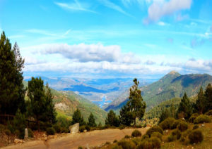 Campamento de verano